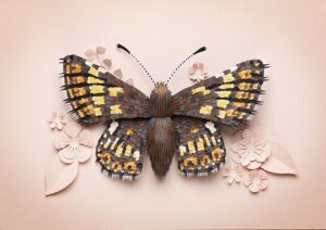 Duke of Burgundy