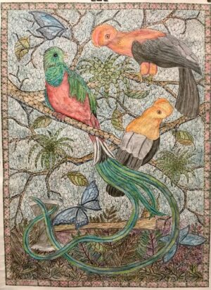 Quetzal in Rainforest (Sold)